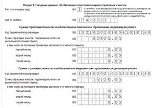 Образец нулевого расчета по страховым взносам 2022