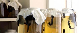 breeding leeches