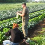 Развитие промышленности и сельского хозяйства