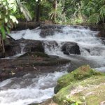 сфера обслуживания профессии