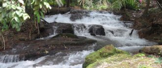 сфера обслуживания профессии