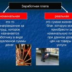Структура заработной платы