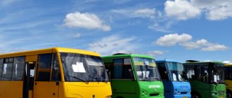Своя маршрутка. Как открыть бизнес на пассажирских автоперевозках
