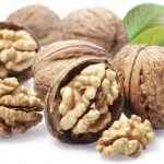 выращивание орехов