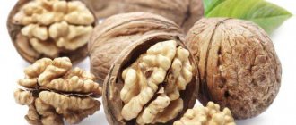 выращивание орехов