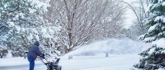Winter business: how to make money removing snow